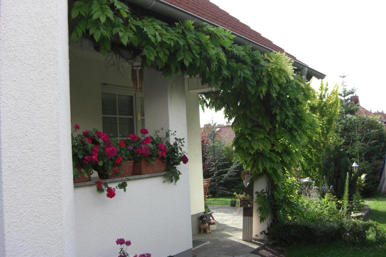 Appartement Am Goldberg Goldbach  المظهر الخارجي الصورة